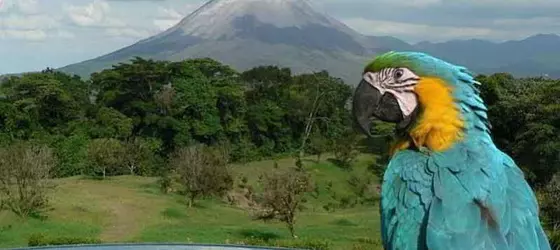 Hotel Arenal Lodge | Alajuela (ili) - San Carlos (kantonu) - La Fortuna