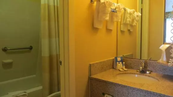 Baymont Inn and Suites Kalamazoo East | Michigan - Kalamazoo (ve civarı) - Kalamazoo