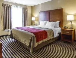 Comfort Inn Owatonna | Minnesota - Owatonna (ve civarı) - Owatonna