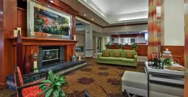 Hilton Garden Inn Lafayette/Cajundome | Louisiana - Lafayette (ve civarı) - Lafayette