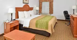 Comfort Inn Willow Springs | Missouri - West Plains (ve civarı) - Willow Springs