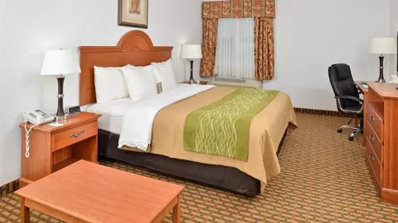 Comfort Inn Willow Springs | Missouri - West Plains (ve civarı) - Willow Springs