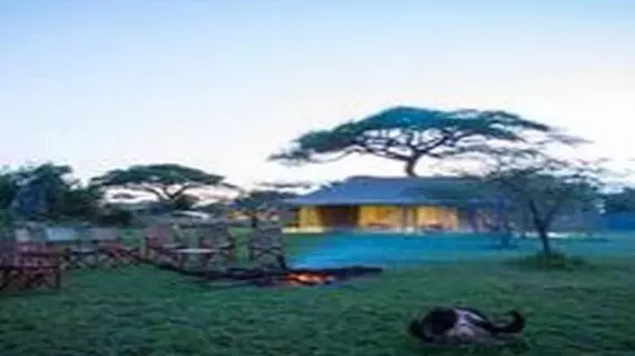 Kisura Serengeti Tented Camp | Serengeti Ulusal Parkı