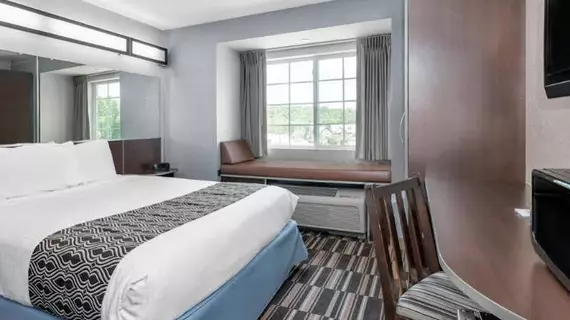 Microtel Inn & Suites by Wyndham Hoover/Birmingham | Alabama - Birmingham (ve civarı) - Bessemer - Hoover