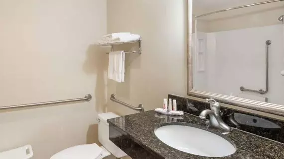 Baymont Inn and Suites Indianapolis South | Indiana - Indianapolis (ve civarı) - Indianapolis