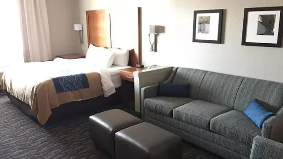 COMFORT INN & SUITES | New Mexico - Las Cruces (ve civarı) - Las Cruces