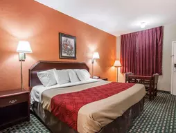 Econo Lodge Inn & Suites Northport | Alabama