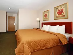 Comfort Inn Monroe | Ohio - Cincinnati (ve civarı) - Monroe