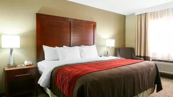 Comfort Inn & Suites Leeds | Alabama - Birmingham (ve civarı) - Leeds