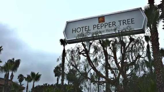 Hotel Pepper Tree | Kaliforniya - Orange County - Anaheim