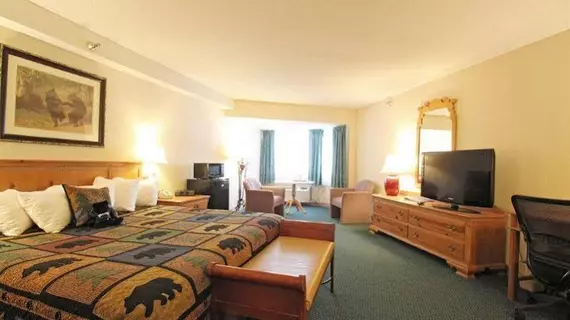 Black Bear Inn Conference Center and Suites | Maine - Bangor (ve civarı) - Orono