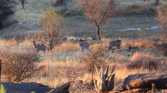 Eagle Rock Guest Farm | Windhoek