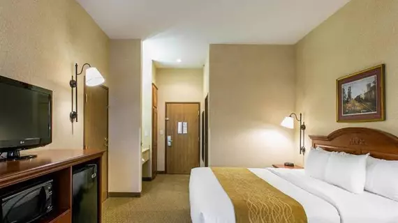 Comfort Inn Warrensburg Station | Missouri - Clinton - Warrensburg