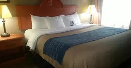 Comfort Inn Kalamazoo | Michigan - Kalamazoo (ve civarı) - Kalamazoo