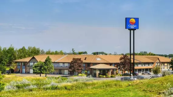 Comfort Inn Newmarket | Ontario - Toronto (ve civarı) - Newmarket