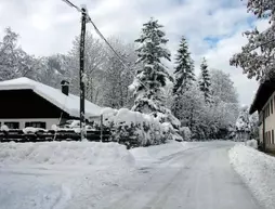 Apartment House Berghi II | Kranjska Gora