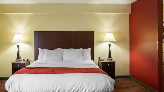 Comfort Suites Mount Juliet | Tennessee - Nashville-Davidson - Nashville (ve civarı) - Mount Juliet