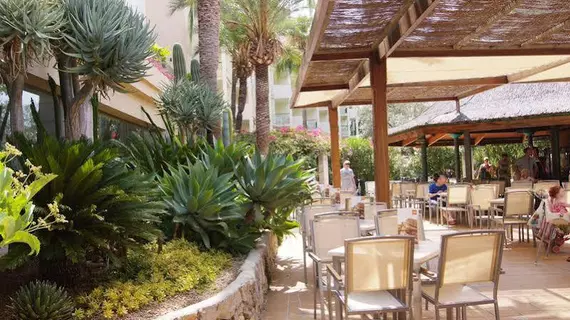 Zafiro Tropic | Balearic Adaları - Mayorka Adası - Alcudia