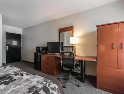 Sleep Inn South | Louisiana - Baton Rouge (ve civarı) - Baton Rouge - Sherwood Ormanı