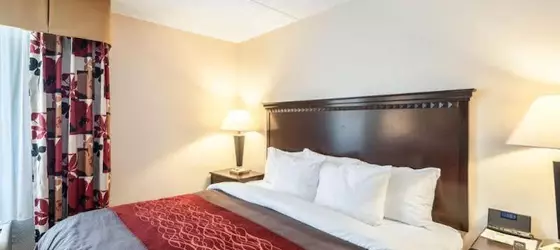 Comfort Inn Annapolis | Maryland - Annapolis (ve civarı) - Annapolis