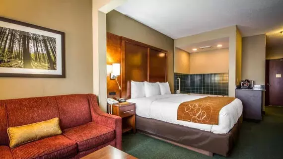 Comfort Suites Madison | Wisconsin - Madison (ve civarı) - Madison