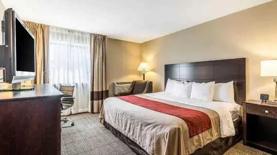 Comfort Inn Lansing | Michigan - Lansing (ve civarı) - Lansing