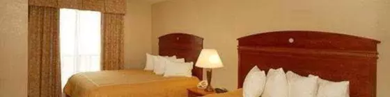 Comfort Suites Sea World/ Lackland | Teksas - San Antonio (ve civarı) - San Antonio - Batı San Antonio