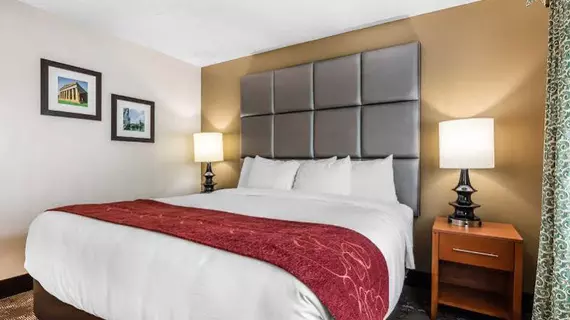 Comfort Inn and Suites Antioch | Tennessee - Nashville-Davidson - Nashville (ve civarı) - Antioch