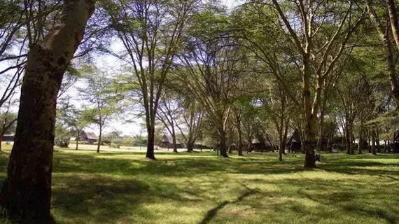 Lake Naivasha Resort | Nakuru İlçesi - Nakuru (ve civarı) - Naivasha