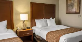 Comfort Suites Sea World/ Lackland | Teksas - San Antonio (ve civarı) - San Antonio - Batı San Antonio