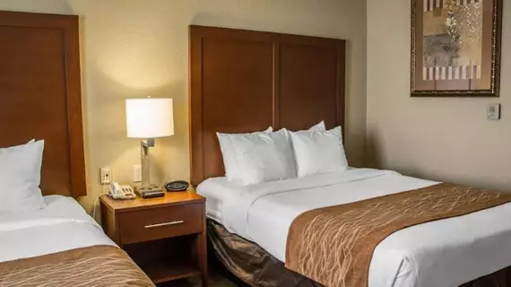 Comfort Suites Sea World/ Lackland | Teksas - San Antonio (ve civarı) - San Antonio - Batı San Antonio