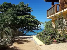 The Westender Inn | Westmoreland - Negril (ve civarı) - Negril - West End (Batı Ucu)