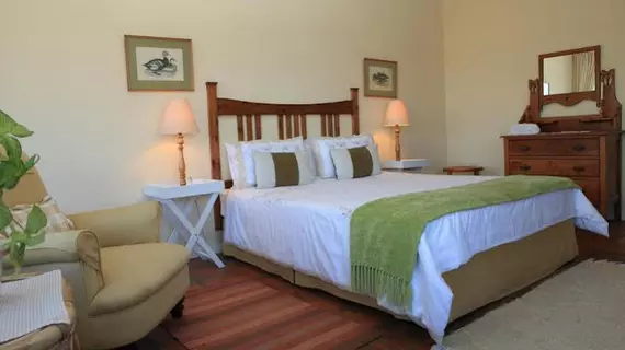 Yellowwood Lodge | Western Cape (il) - Knysna