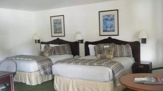 Carmel Hill Lodge / Knights Inn | Kaliforniya - Monterey (ve civarı) - Monterey