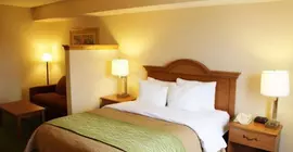 Comfort Inn & Suites - Chesterfield | Missouri - St. Louis (ve civarı) - Chesterfield