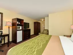 Comfort Inn Halifax | Nova Scotia - Halifax (ve civarı) - Halifax