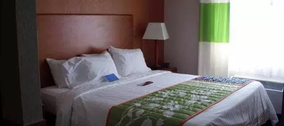 Fairfield Inn and Suites by Marriott Tampa North | Florida - Tampa (ve civarı) - Tampa - Temple Terrace