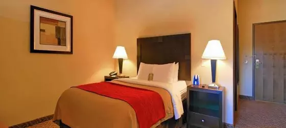 Comfort Inn & Suites Scottsboro | Alabama - Scottsboro (ve civarı) - Scottsboro