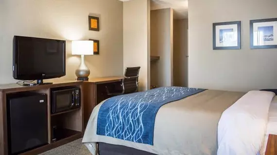 Comfort Inn & Suites Sanford | Florida - Sanford