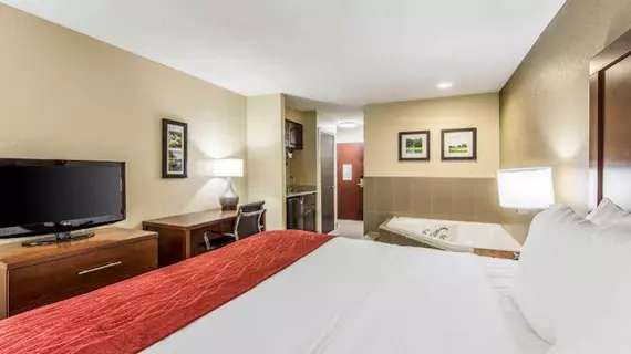 Comfort Inn and Suites | Güney Karolayna - Greenwood