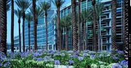 SpringHill Suites by Marriott at Anaheim Resort Area/Convention Center | Kaliforniya - Orange County - Anaheim - Anaheim Resort