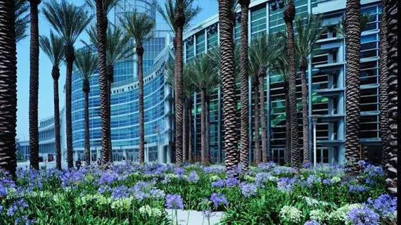 SpringHill Suites by Marriott at Anaheim Resort Area/Convention Center | Kaliforniya - Orange County - Anaheim - Anaheim Resort