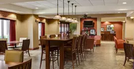 Hampton Inn Branson - Branson Hills | Missouri - Branson (ve civarı) - Branson