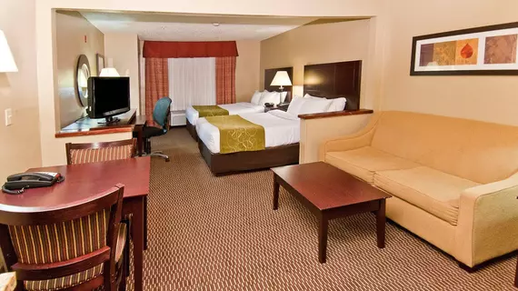 Comfort Suites North/Galleria | Teksas - Dallas (ve civarı) - Dallas - Addison - Galleria