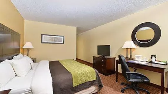 Comfort Inn and Suites Joplin | Missouri - Joplin (ve civarı) - Joplin