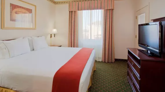 Holiday Inn Express Hotel & Suites Fort Worth West/I-30 | Teksas - Fort Worth (ve civarı) - Fort Worth