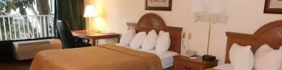 Quality Inn Central Clearwater | Florida - St. Petersburg - Clearwater (ve civarı) - Clearwater