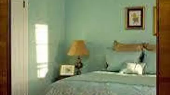 R. R. Thompson House Bed & Breakfast | Oregon - Salem (ve civarı) - Carlton