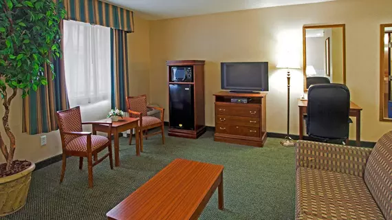 Country Inn & Suites by Radisson, Rochester-Pittsford/Brighton, NY | New York - Rochester (ve civarı) - Rochester