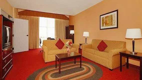 Comfort Inn Lincoln | Alabama - Oxford (ve civarı) - Lincoln